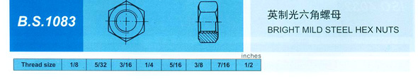 cp5-1_06[1].jpg